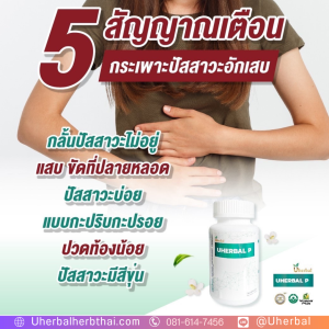 จะรู้ได้อย่างไรว่าปัสสาวะบ่อยเกิดจากนิ่วหรือสาเหตุอื่น? จะรู้ได้อย่างไรว่าปัสสาวะบ่อยเกิดจากนิ่วหรือสาเหตุอื่น?
