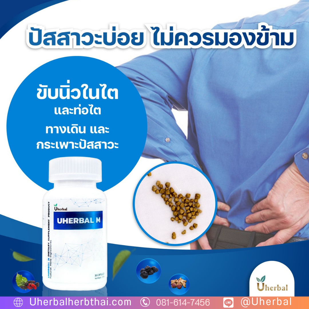 สมุนไพร U Herbal M คือ