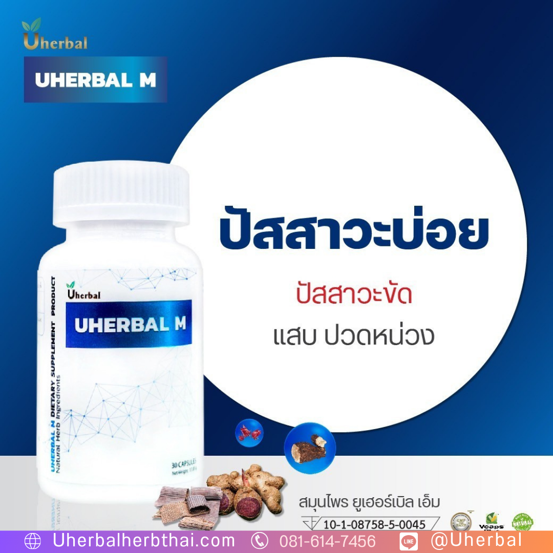 ปัสสาวะเล็ดในผู้ชาย เรื่องน่าอาย... หรือสัญญาณปัญหาสุขภาพ? 