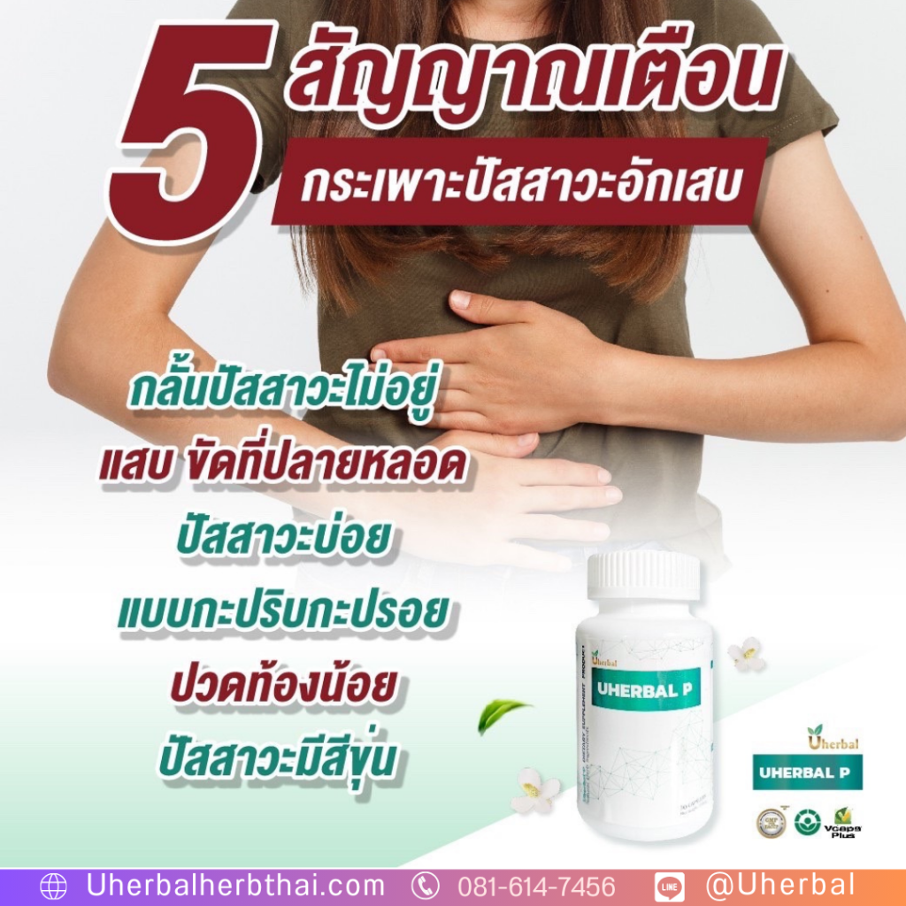 ยา สลาย นิ่ว" มีจริงไหม? 