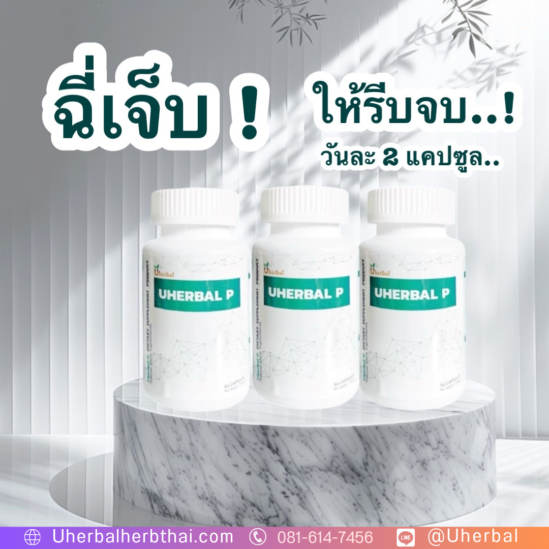 สมุนไพร Uherbal P คือ