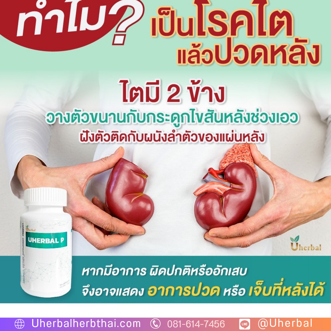 นิ่วในไต เกิดจากอะไร?
