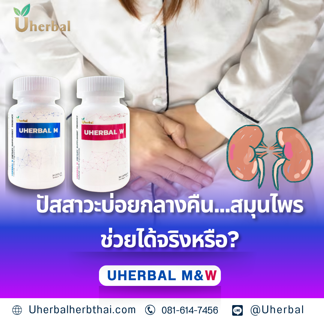 ปัสสาวะบ่อยกลางคืน...สมุนไพรช่วยได้จริงหรือ? 