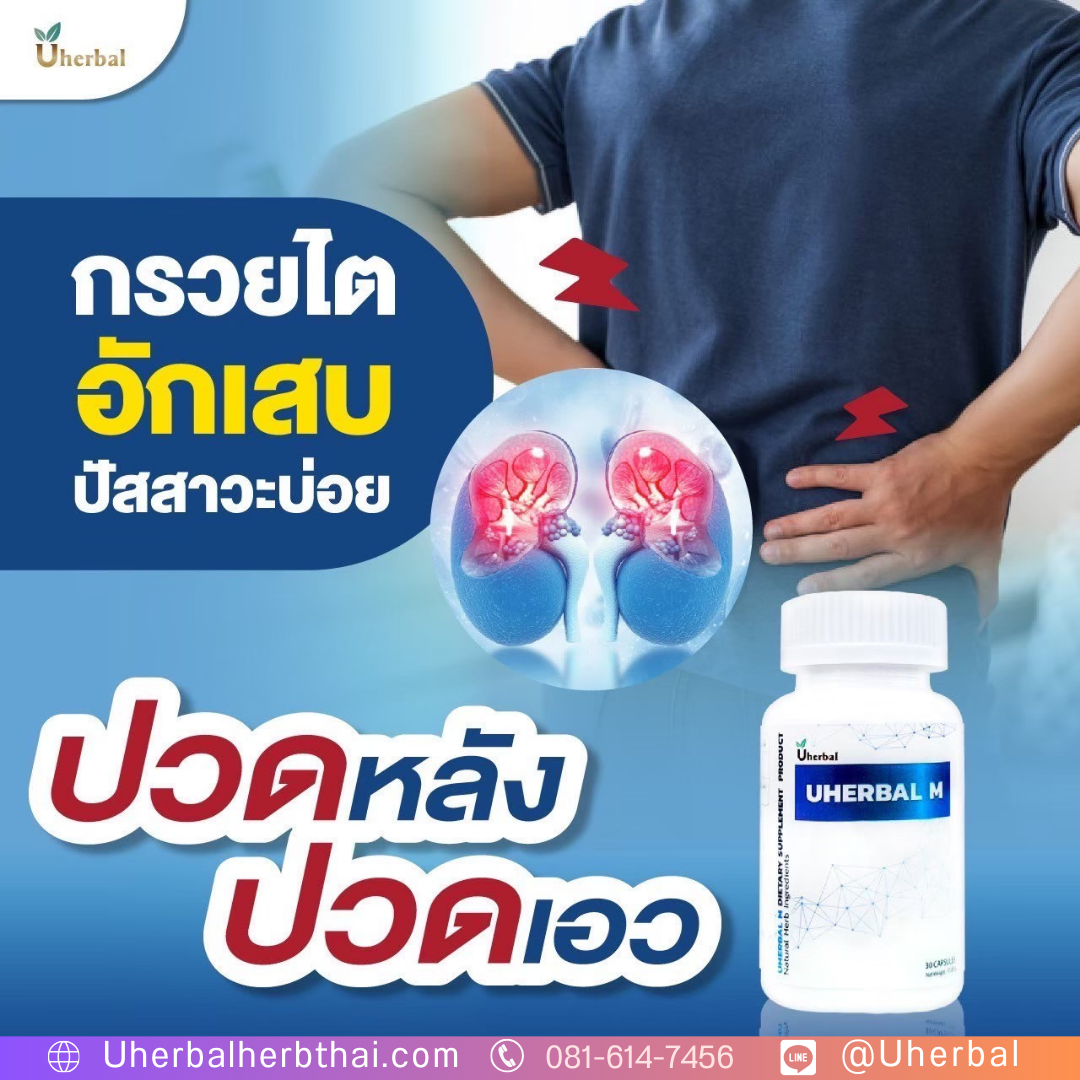 อาหารเสริมผู้ชาย Uherbal M
