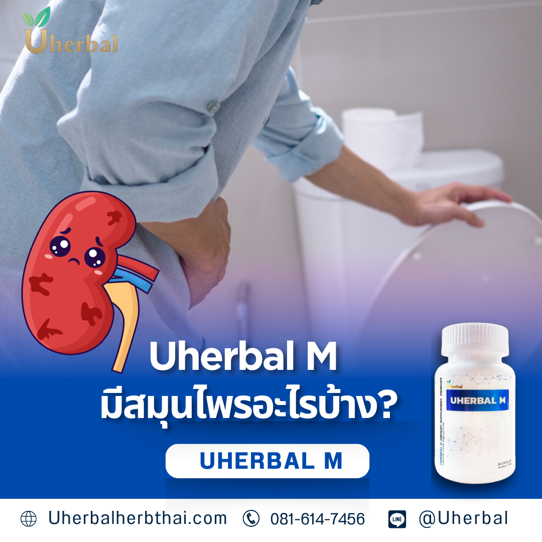 สมุนไพร Uherbal M มีสมุนไพรอะไรบ้าง