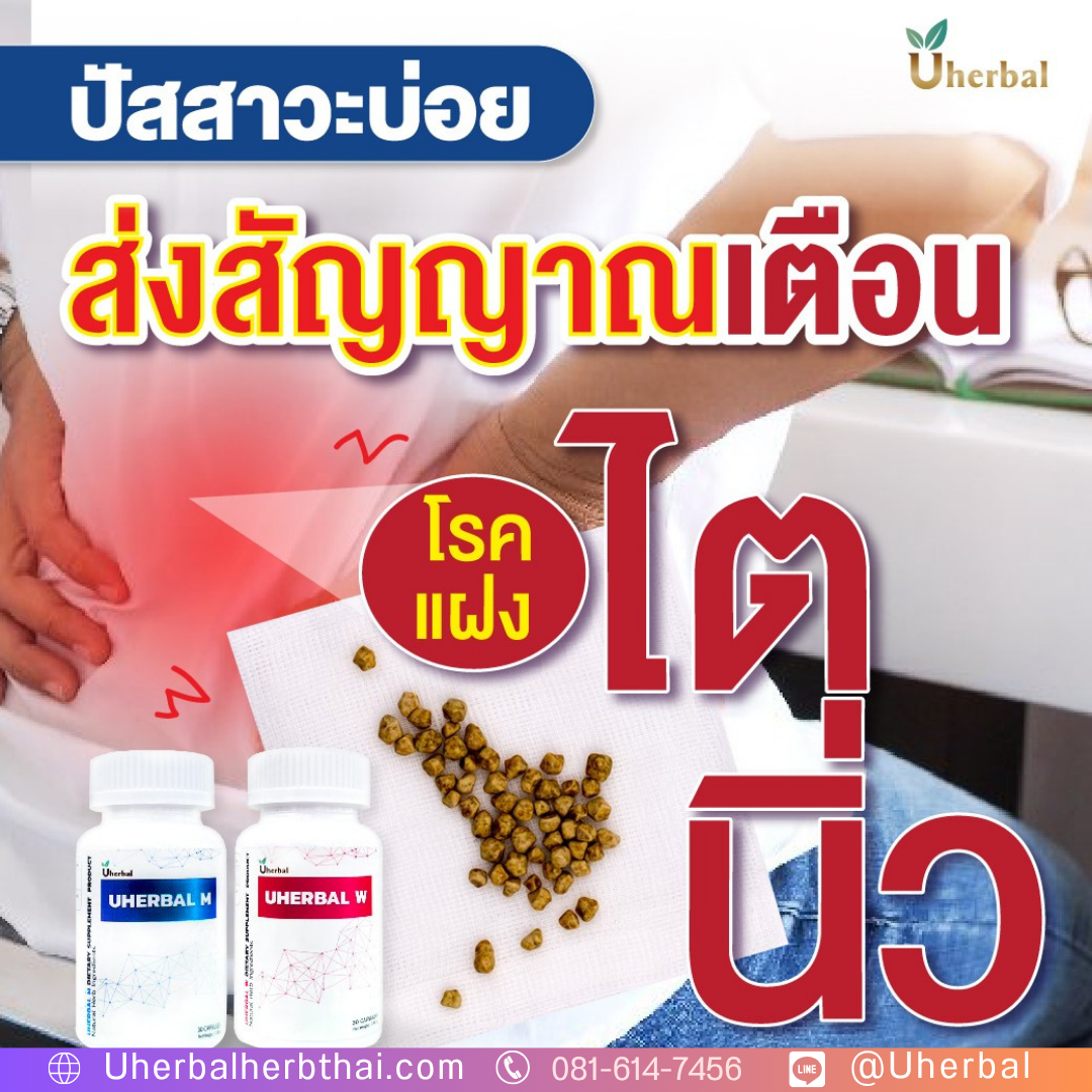 โปร 7.7 Uherbal: มอบ "ของขวัญแห่งสุขภาพ" ด้วยเซ็ต 2 แถม 1 2,490 บาท
