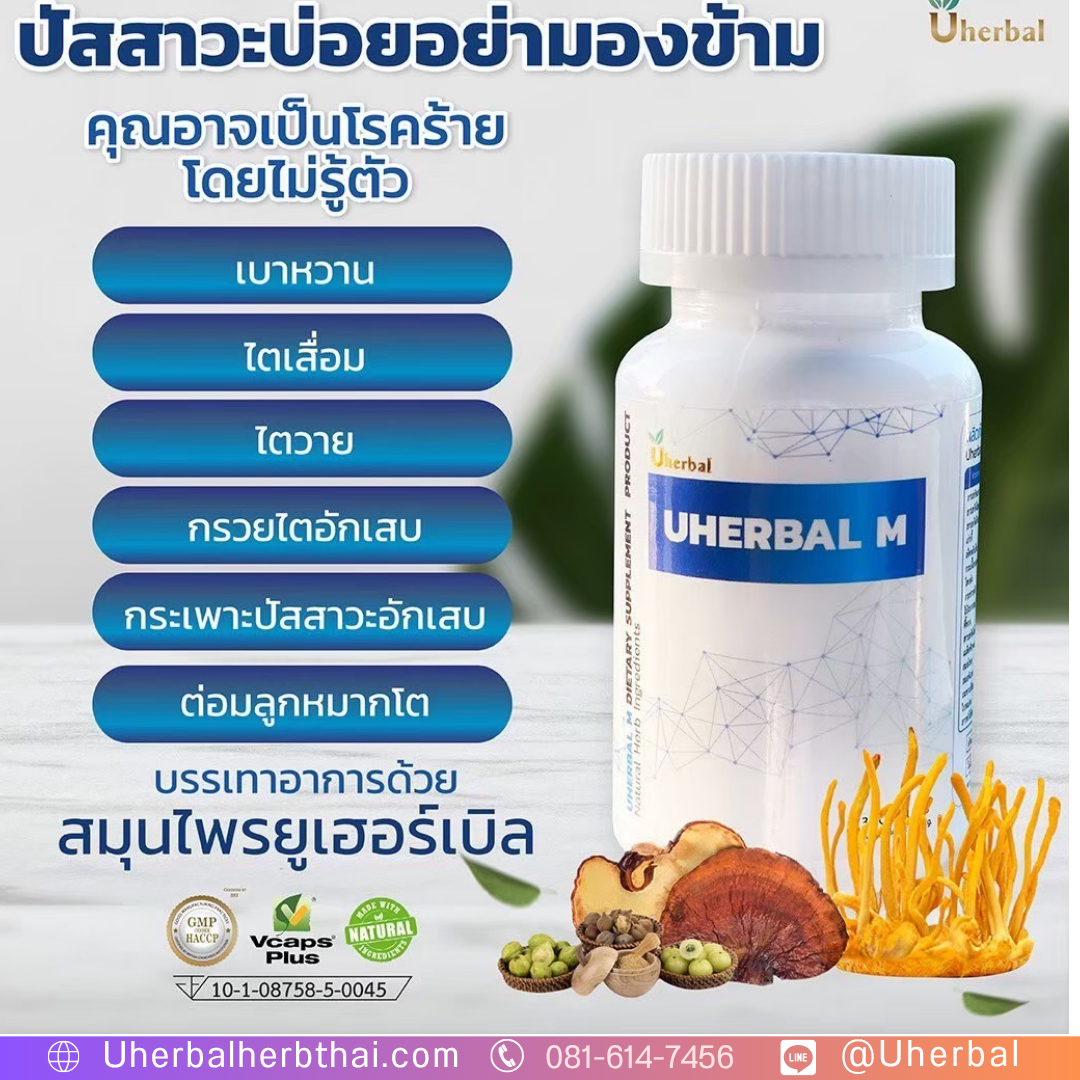 สมุนไพรแก้ปัสสาวะบ่อย ผู้ชาย เหมาะกับใคร?