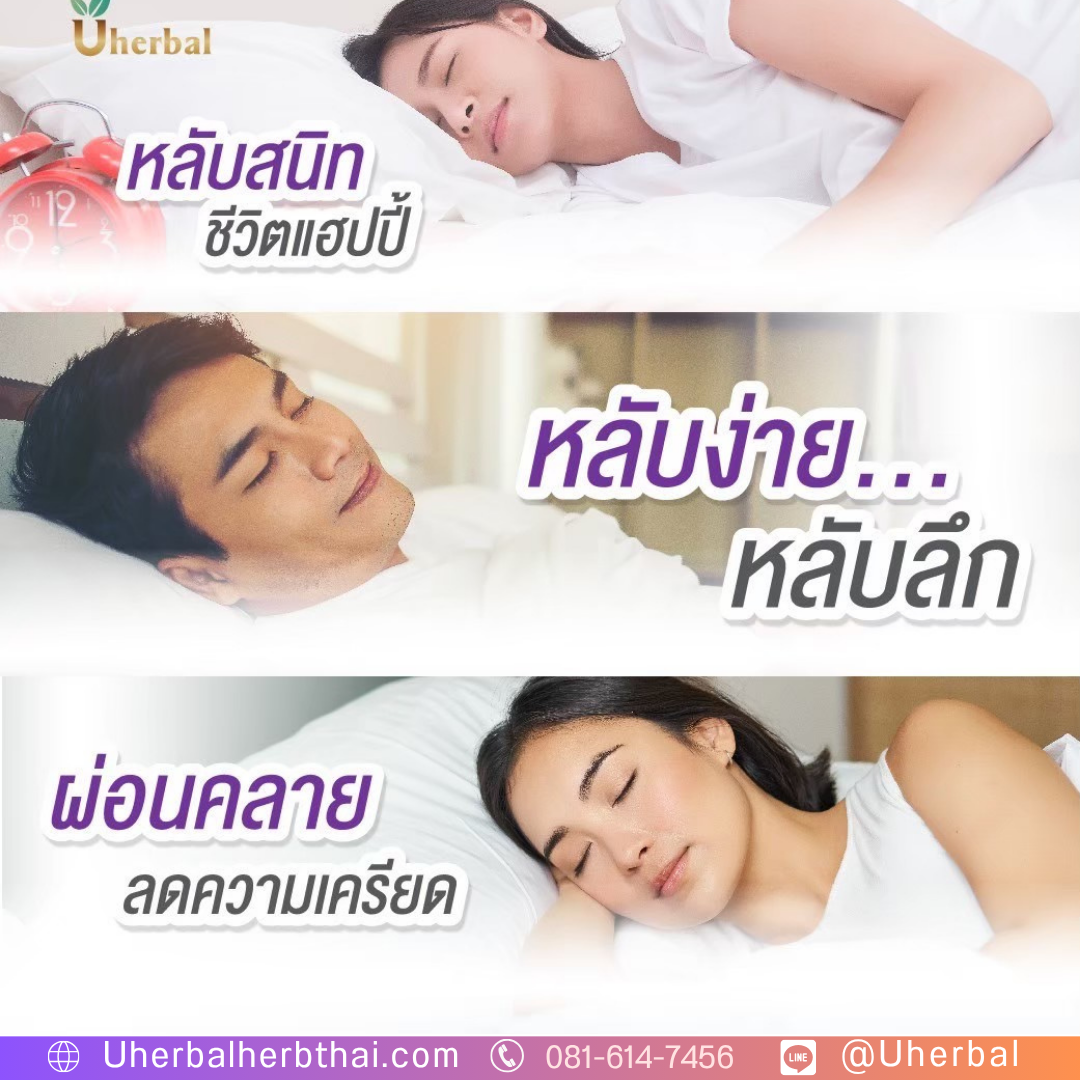 นอนไม่หลับทุกคืน: แนะนำสมุนไพรตัวไหนช่วยได้จริง? 
