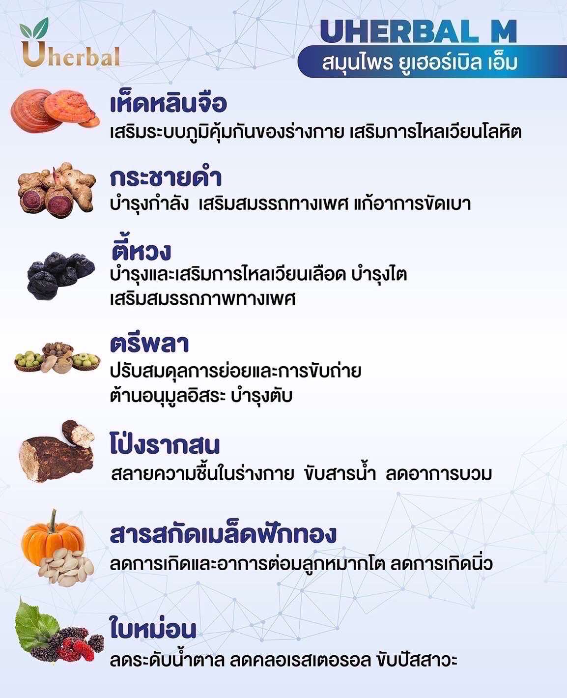uherbal m คืออะไร