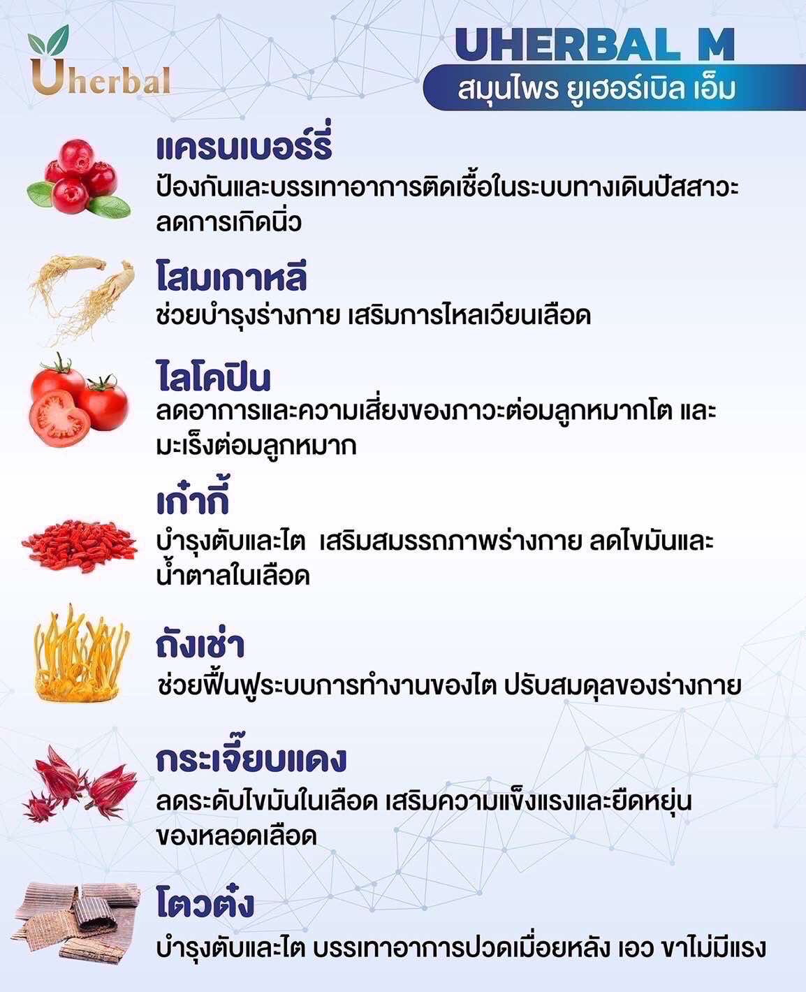 uherbal m คืออะไร