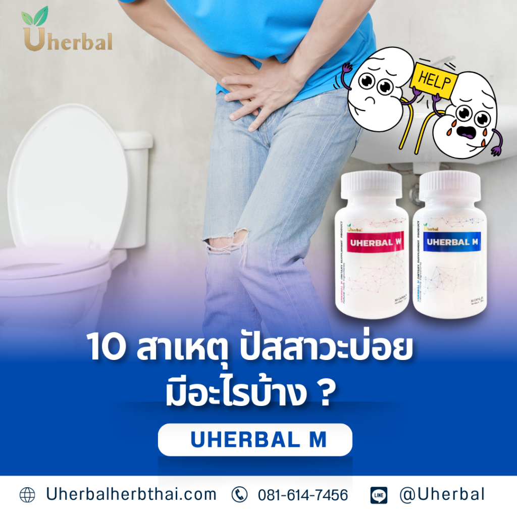 10 สาเหตุ ปัสสาวะบ่อย มีอะไรบ้าง