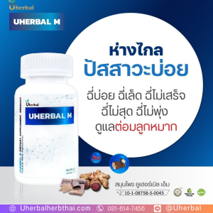 Uherbal M ผู้ชายฉี่กระปริบกระปรอยควรเริ่มดูแลยังไง?