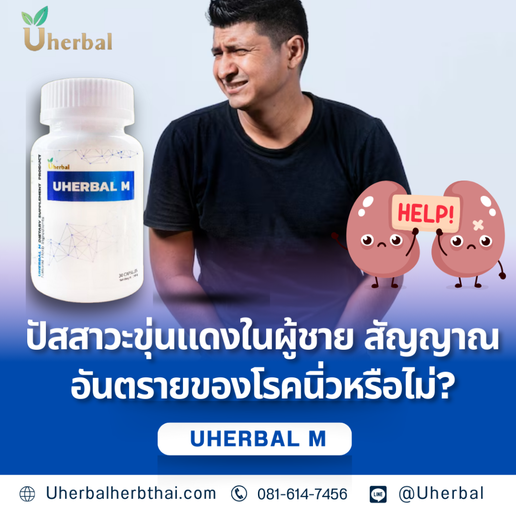 ปัสสาวะขุ่นแดงในผู้ชาย สัญญาณอันตรายของโรคนิ่วหรือไม่?