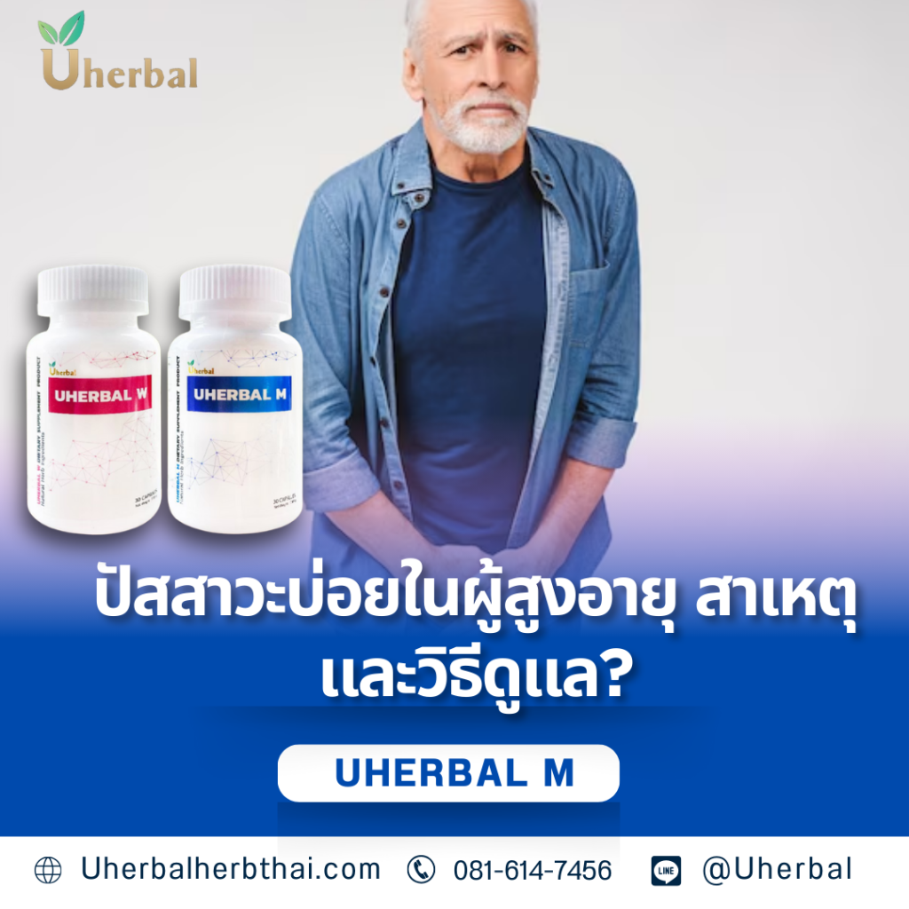 ปัสสาวะบ่อยในผู้สูงอายุ สาเหตุและวิธีดูแล?
