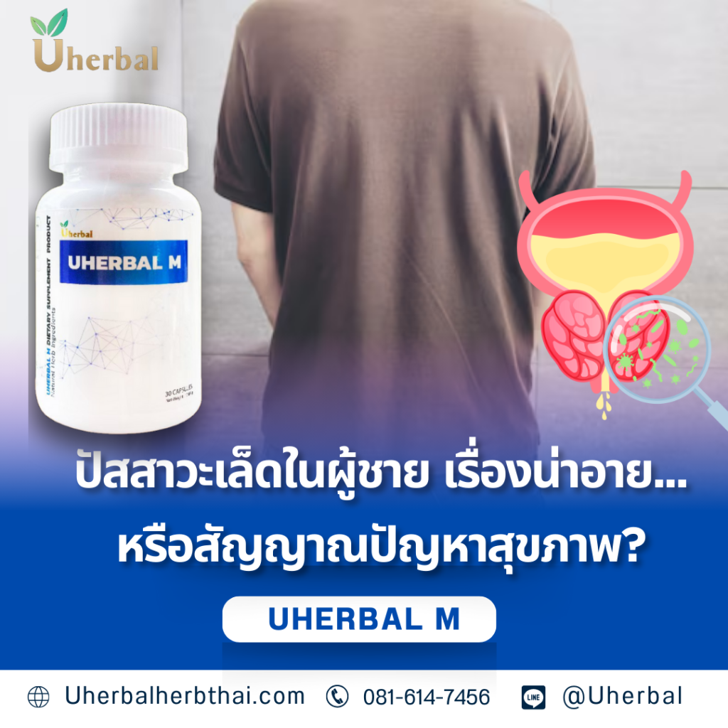 ปัสสาวะเล็ดในผู้ชาย เรื่องน่าอาย... หรือสัญญาณปัญหาสุขภาพ?