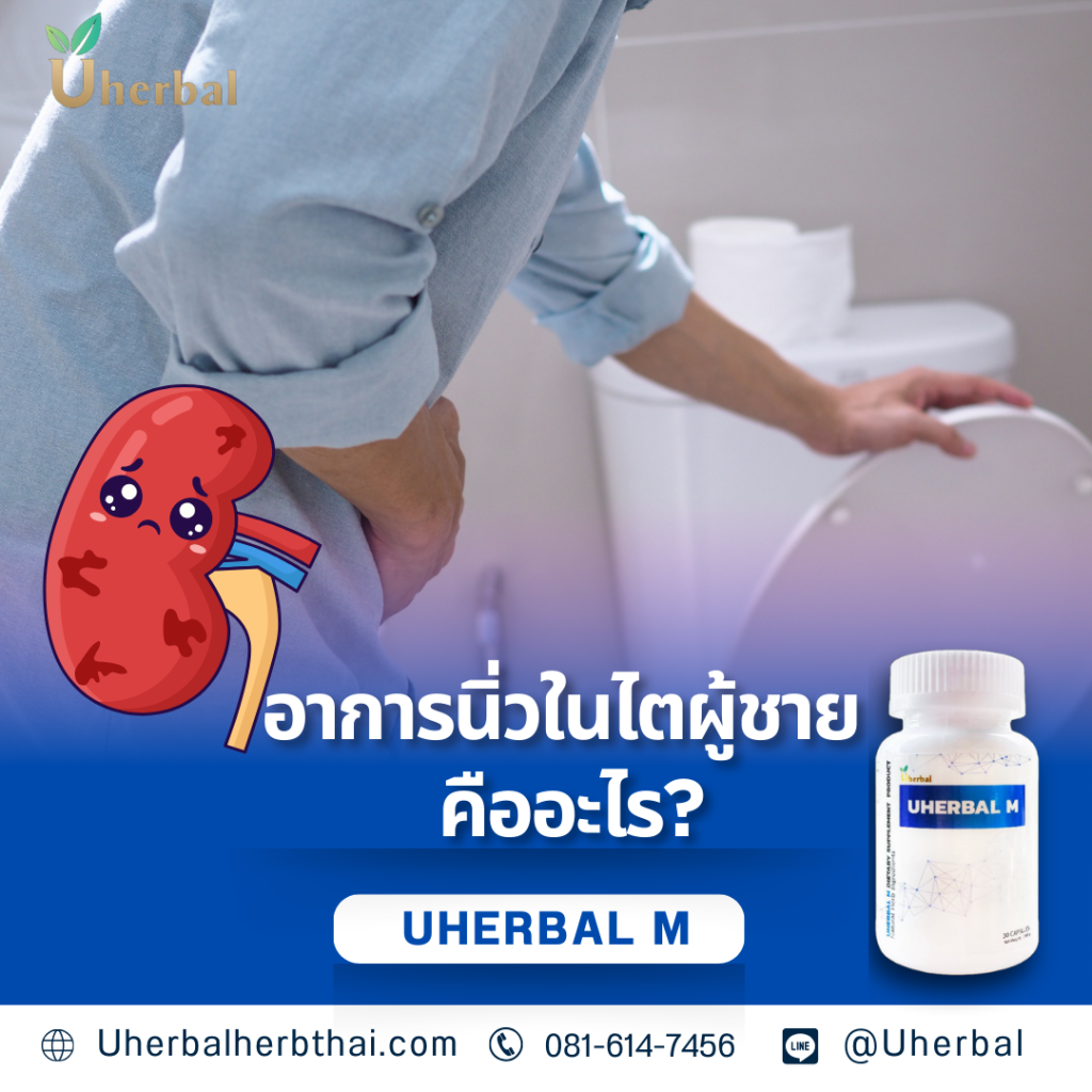อาการนิ่วในไตผู้ชาย คืออะไร