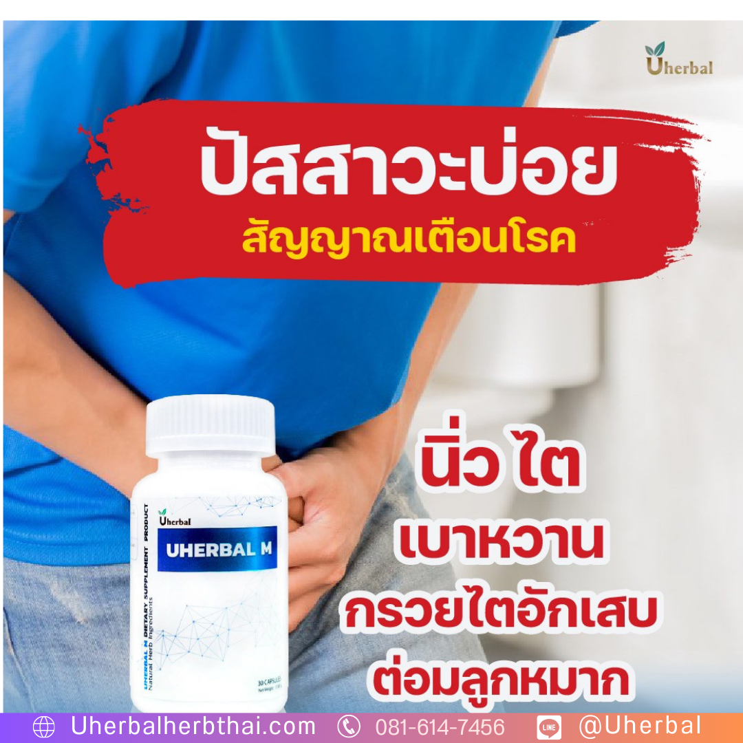 สรรพคุณ : สำหรับผู้มีปัญหา ปัสสาวะบ่อย ปัสสาวะกลางคืน ตื่นกลางดึก ปัสสาวะขัด ปัสสาวะกระปริบกระปรอย หรือ กระเพาะปัสสาวะอักเสบ ติดเชื้อระบบกระเพาะปัสสาวะสมุนไพรจะช่วยดูแลระบบปัสสาวะทั้งหมดภายในร่างอย่างครบถ้วน บำรุงไต และฟื้นฟูขับของเสีย รวมถึงปรับสมดุลในร่างกาย