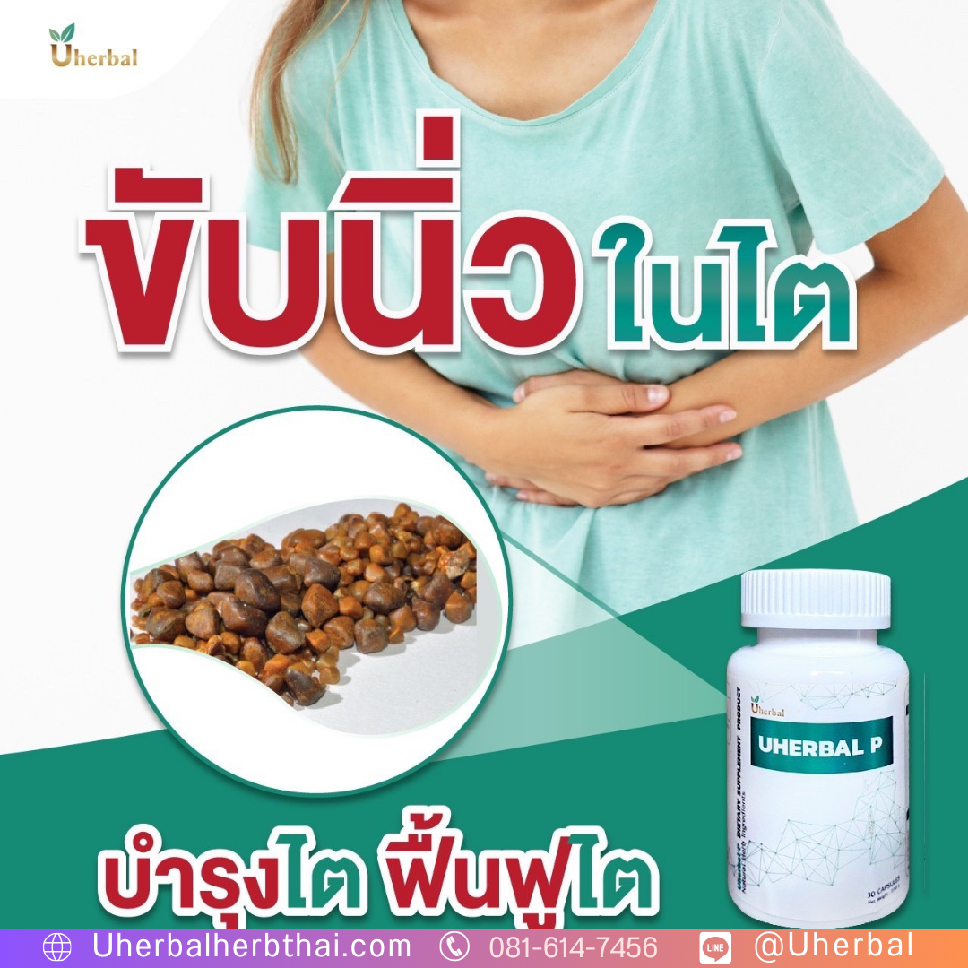 "กิน ยา สลาย นิ่ว ใน ไต" ตอนไหนดีที่สุด? ก่อนหรือหลังอาหาร?