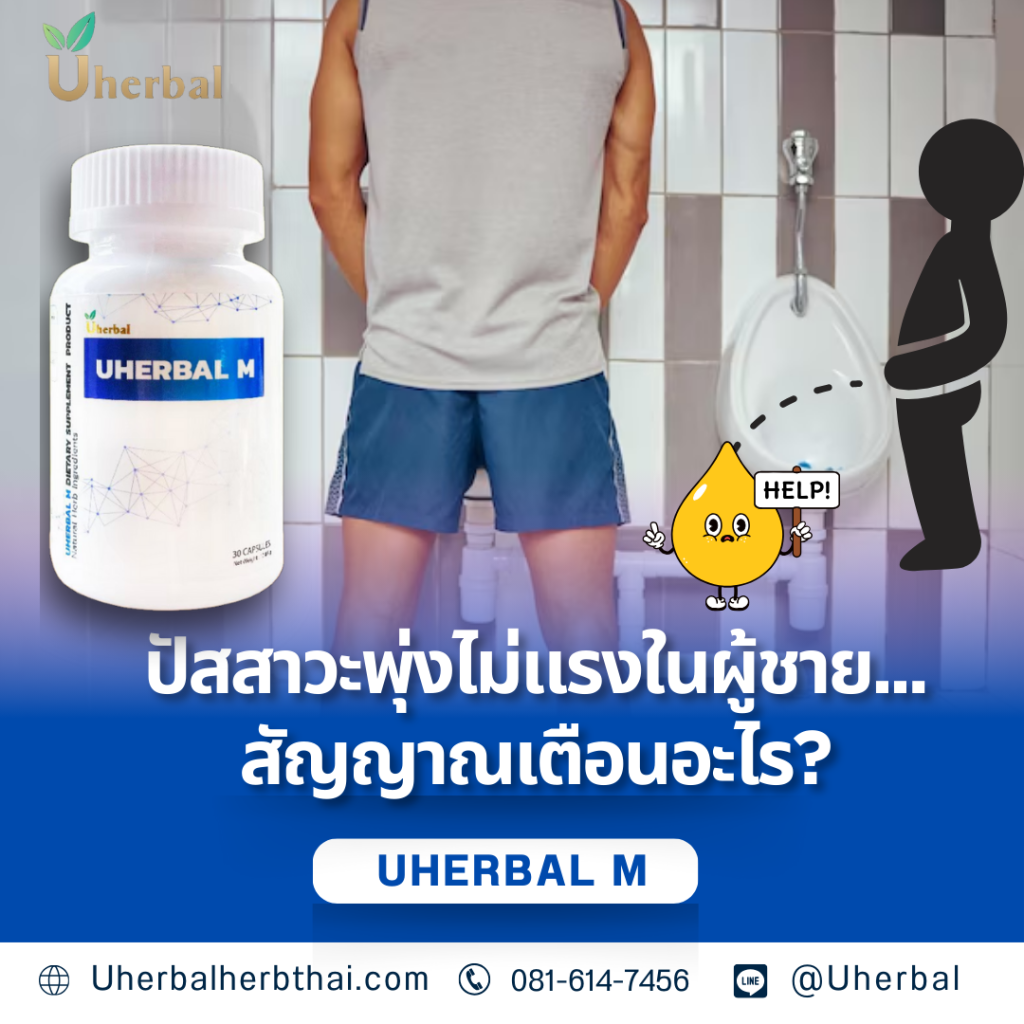 ฉี่เล็ด รักษาได้ไหม? มีวิธีใดบ้าง?