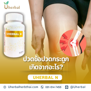 สมุนไพร Uherbal N คือ