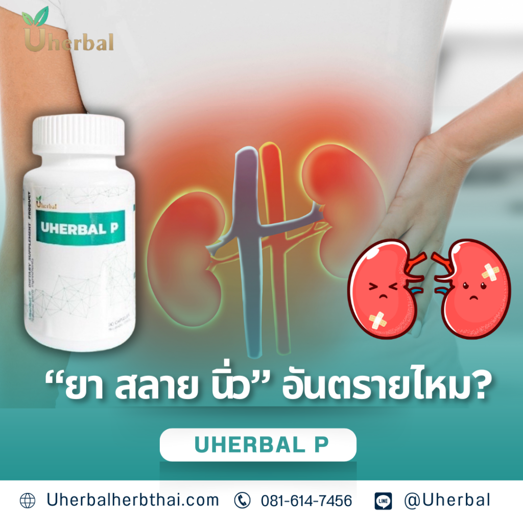 ยา สลาย นิ่ว" อันตรายไหม? 