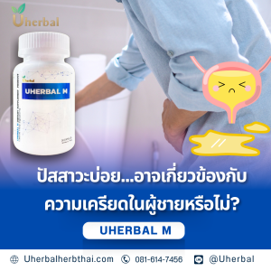 ปัสสาวะบ่อย...อาจเกี่ยวข้องกับความเครียดในผู้ชายหรือไม่?