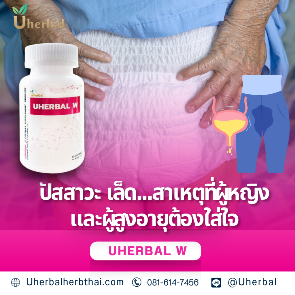 ปัสสาวะ เล็ด...สาเหตุที่ผู้หญิงและผู้สูงอายุต้องใส่ใจ