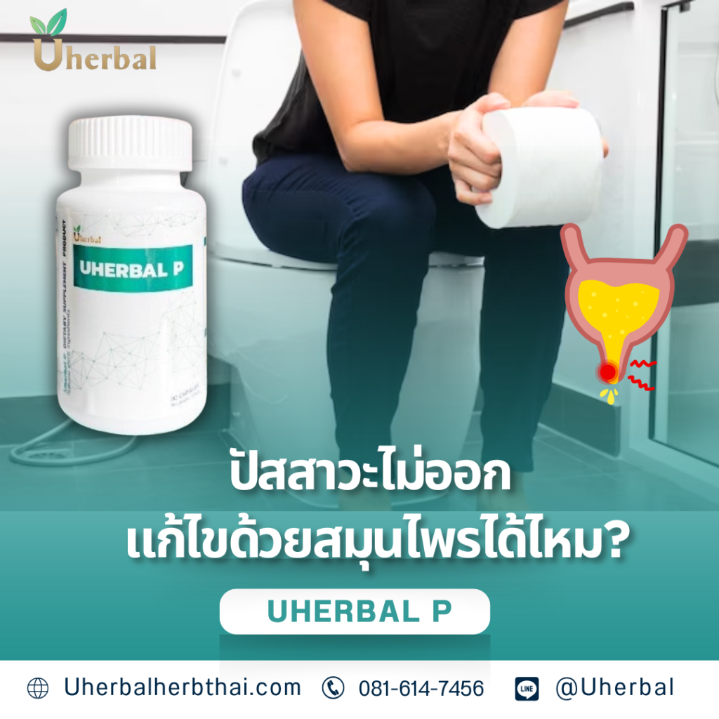 ปัสสาวะไม่ออก แก้ไขด้วยสมุนไพรได้ไหม?