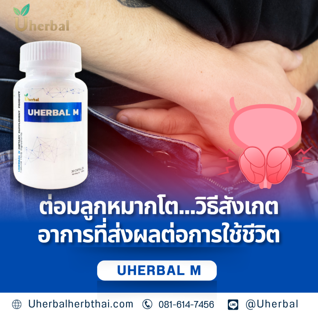 ต่อมลูกหมากโต...วิธีสังเกตอาการที่ส่งผลต่อการใช้ชีวิต