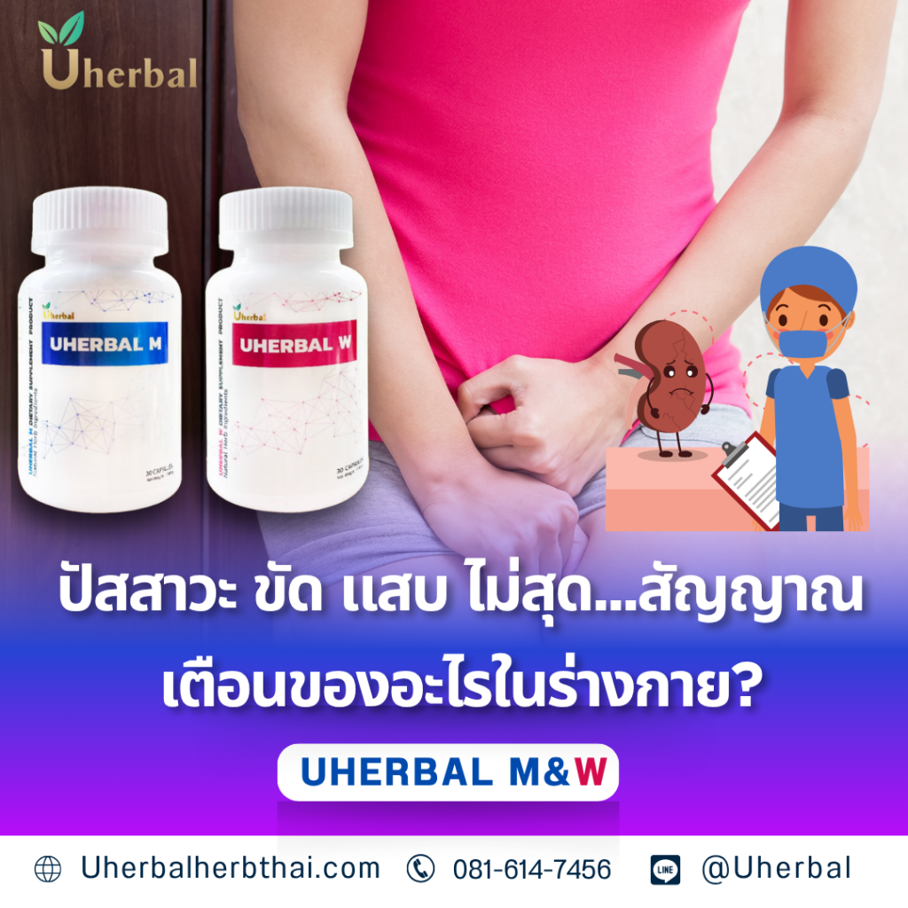 ปัสสาวะ ขัด แสบ ไม่สุด...สัญญาณเตือนของอะไรในร่างกาย?