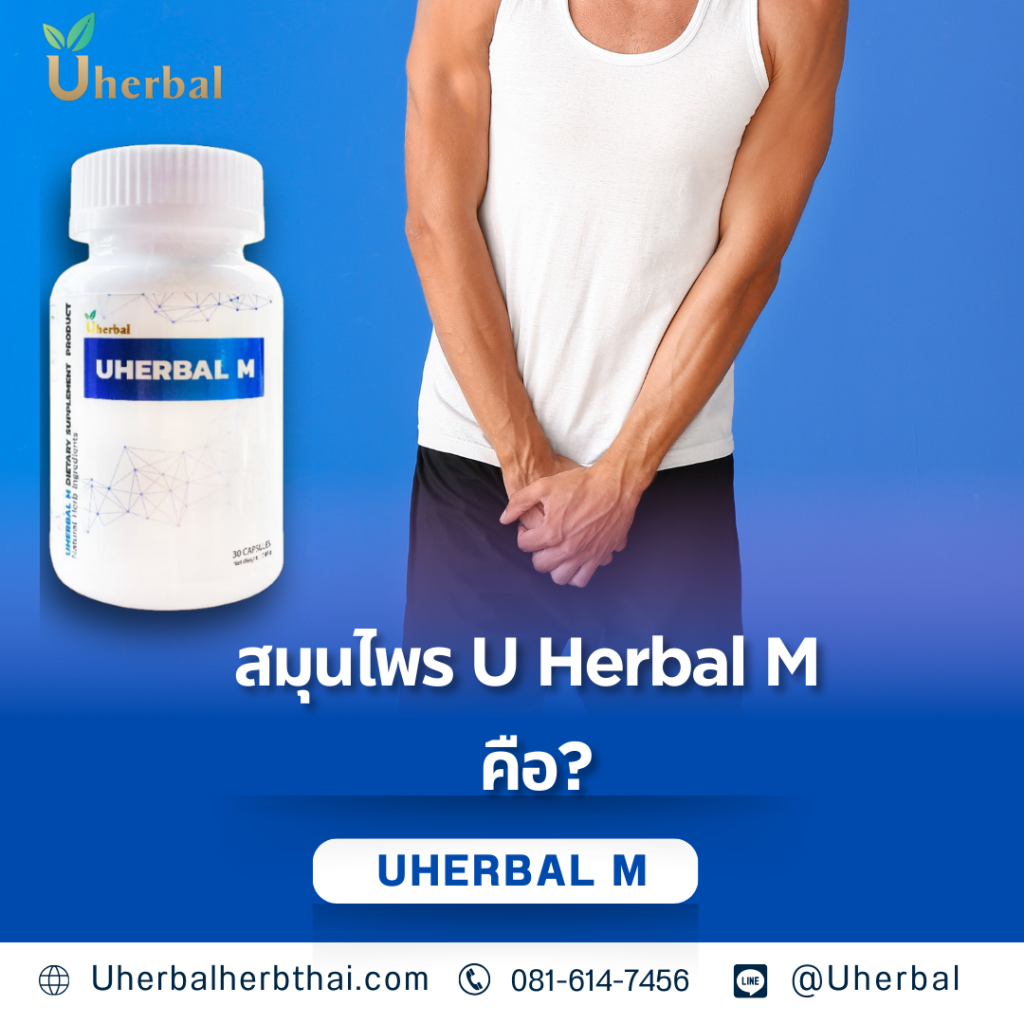 สมุนไพร U Herbal M คือ