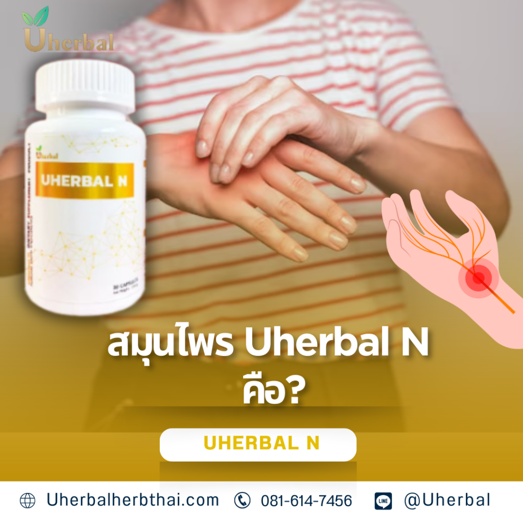 สมุนไพร Uherbal N คือ