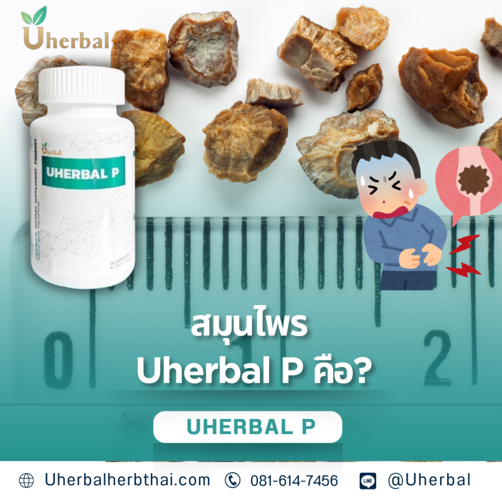 สมุนไพร Uherbal P คือ