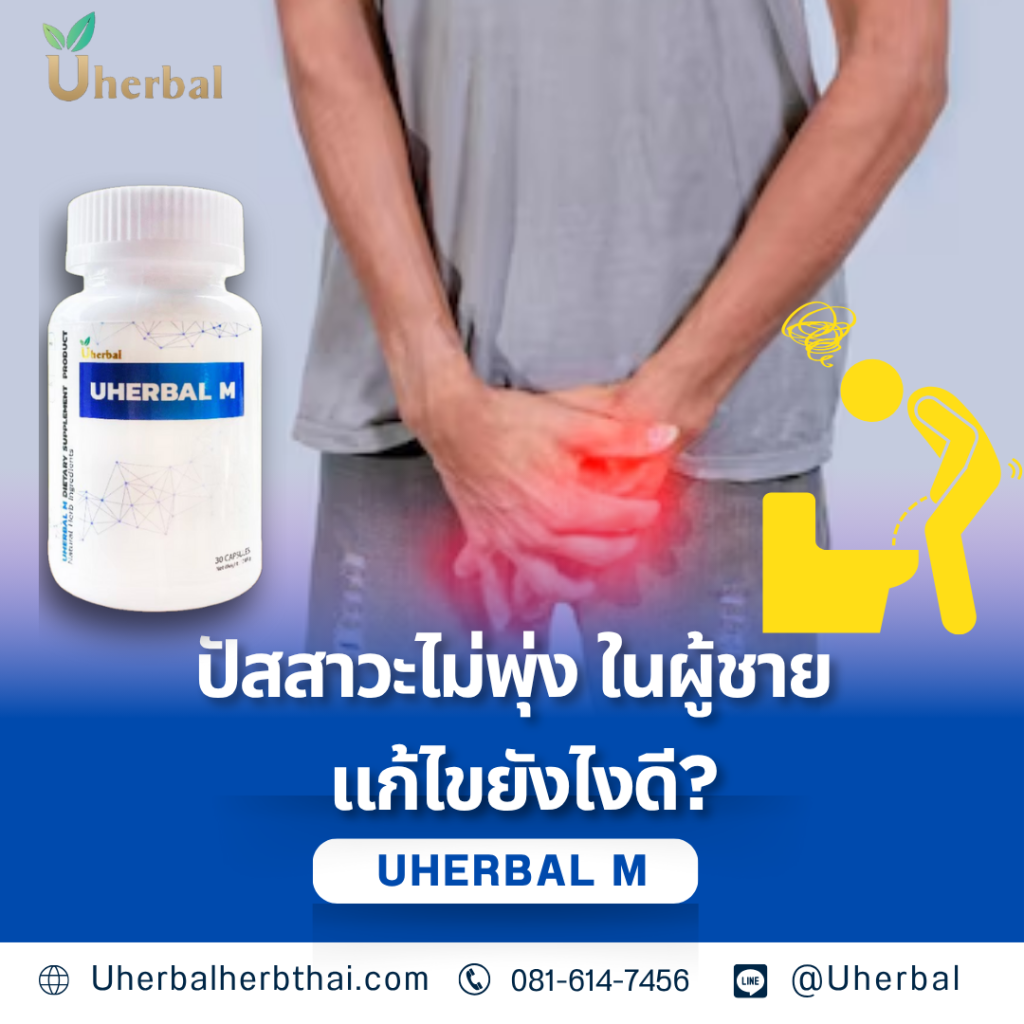 ปัสสาวะไม่พุ่งในผู้ชาย แก้ไขยังไงดี?