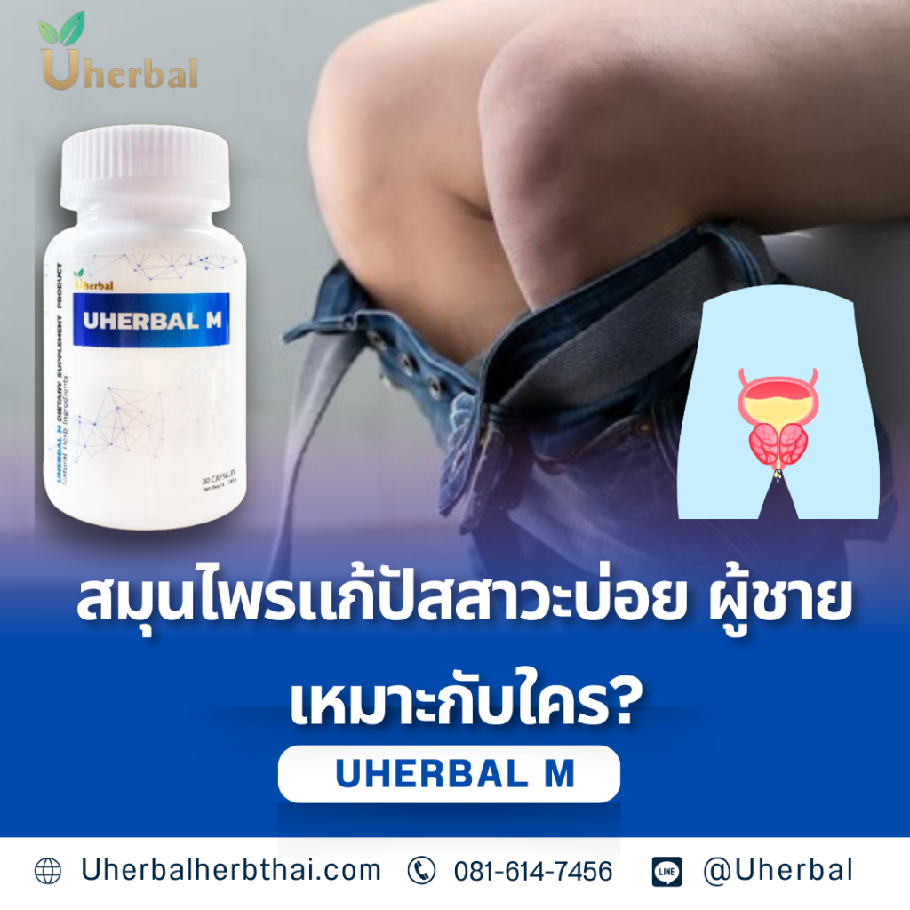 สมุนไพรแก้ปัสสาวะบ่อย ผู้ชาย เหมาะกับใคร?