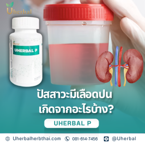ปัสสาวะมีเลือดปน เกิดจากอะไรบ้าง?