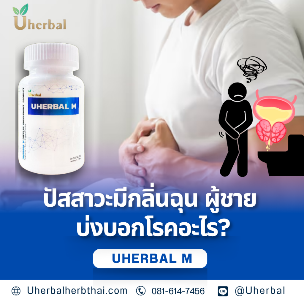 ปัสสาวะมีกลิ่นฉุน ผู้ชาย บ่งบอกโรคอะไร?
