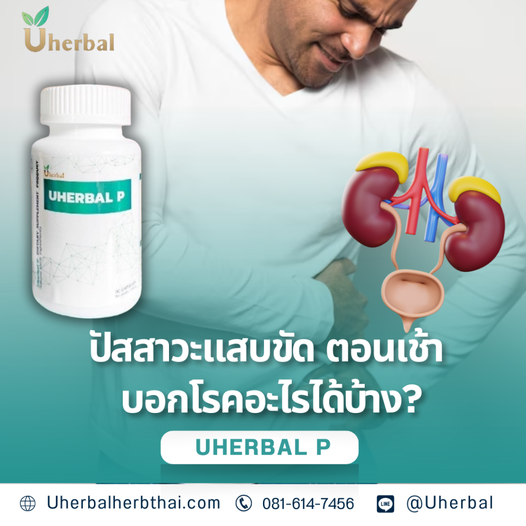 ปัสสาวะแสบขัด ตอนเช้า บอกโรคอะไรได้บ้าง?