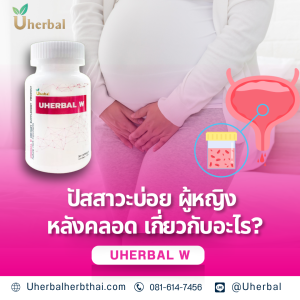 ปัสสาวะบ่อย ผู้หญิง หลังคลอด เกี่ยวกับอะไร?
