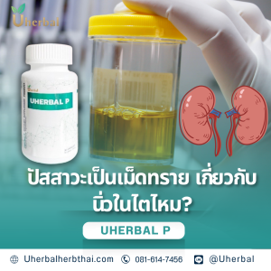 ปัสสาวะเป็นเม็ดทราย เกี่ยวกับนิ่วในไตไหม?