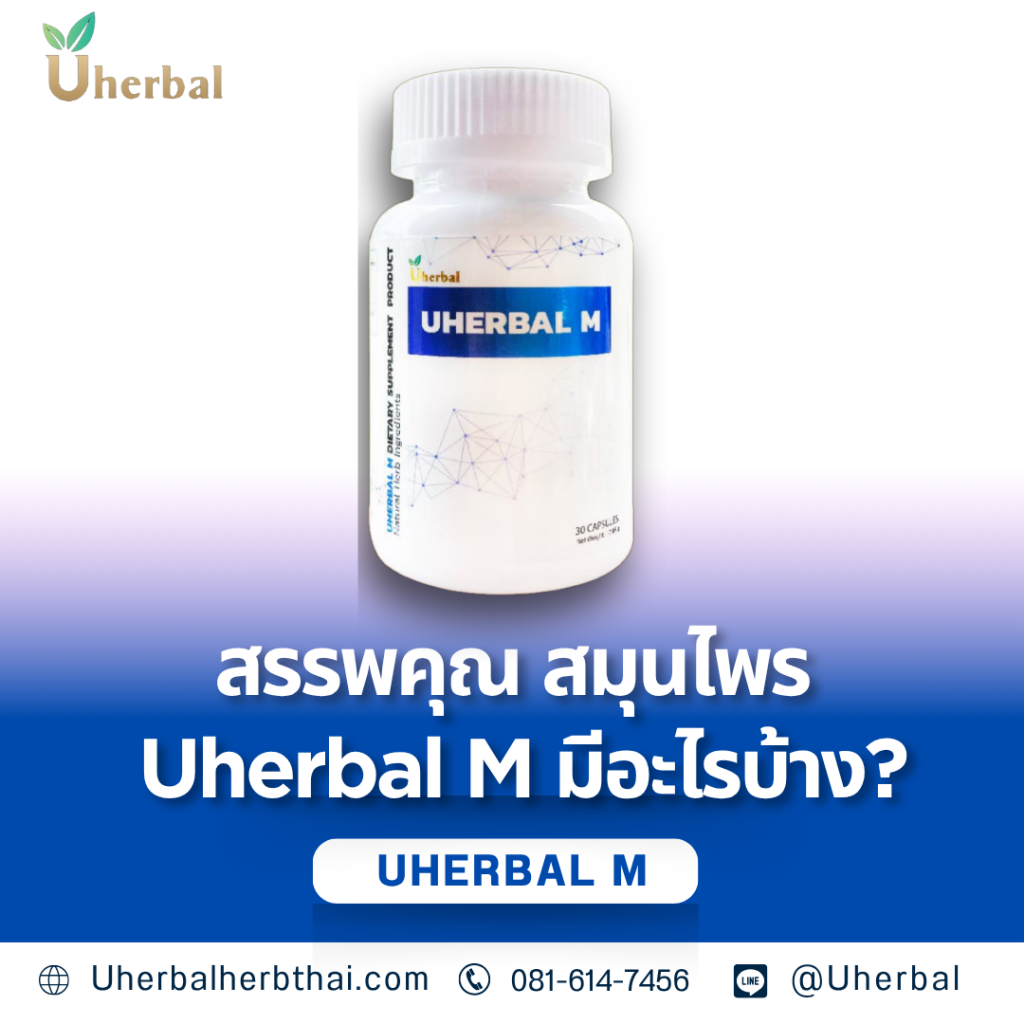 สรรพคุณ สมุนไพร Uherbal M มีอะไรบ้าง