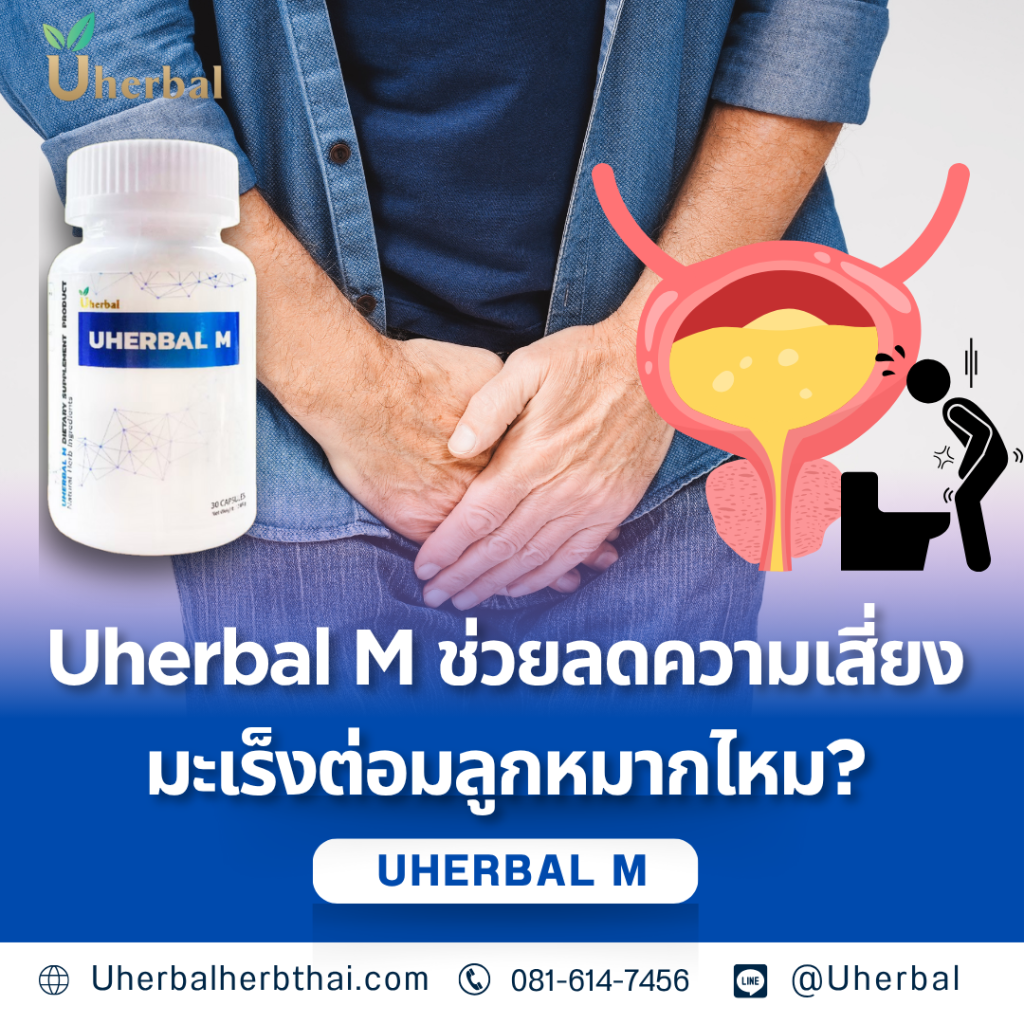Uherbal M ช่วยลดความเสี่ยงมะเร็งต่อมลูกหมากไหม?