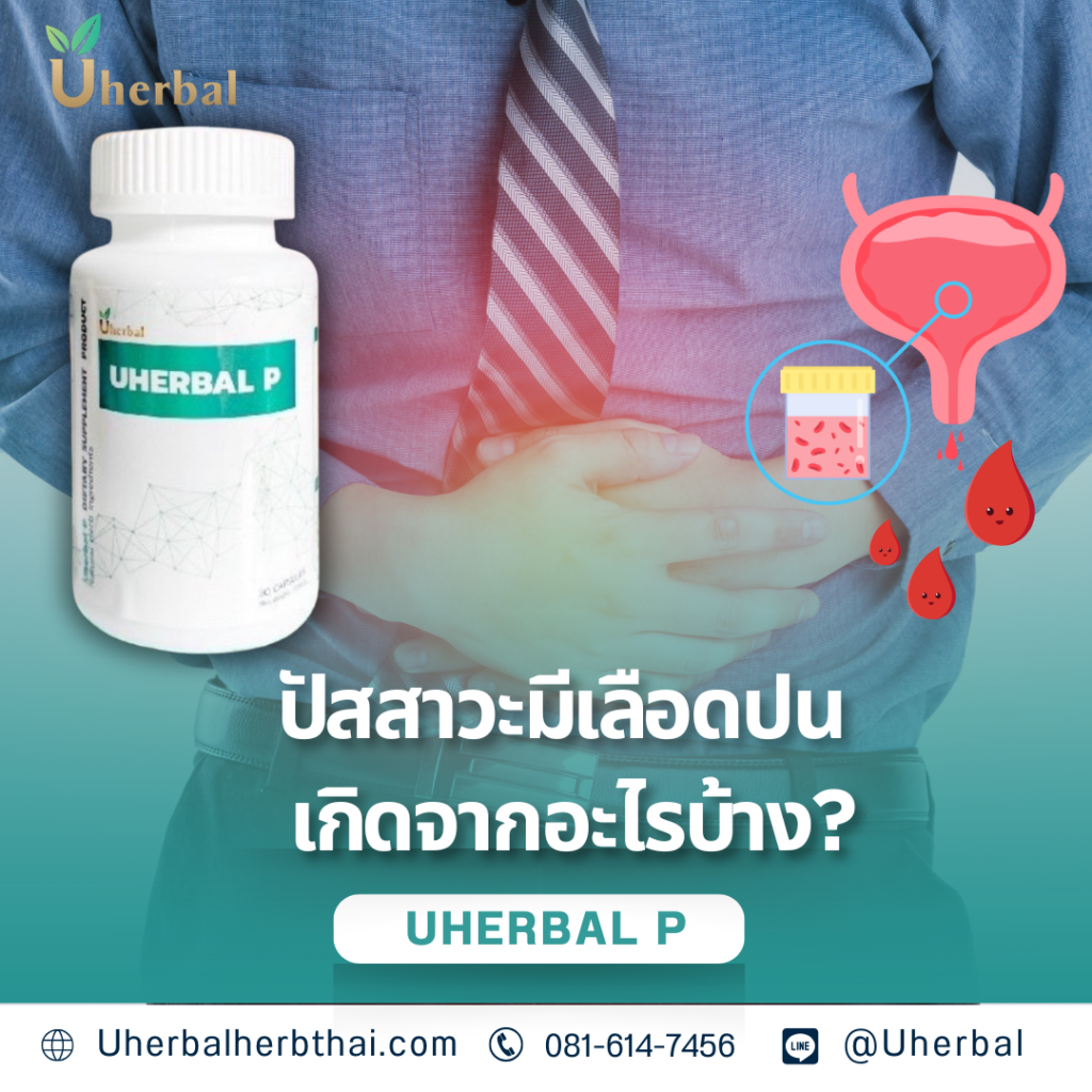 ปัสสาวะมีเลือดปน เกิดจากอะไรได้บ้าง?