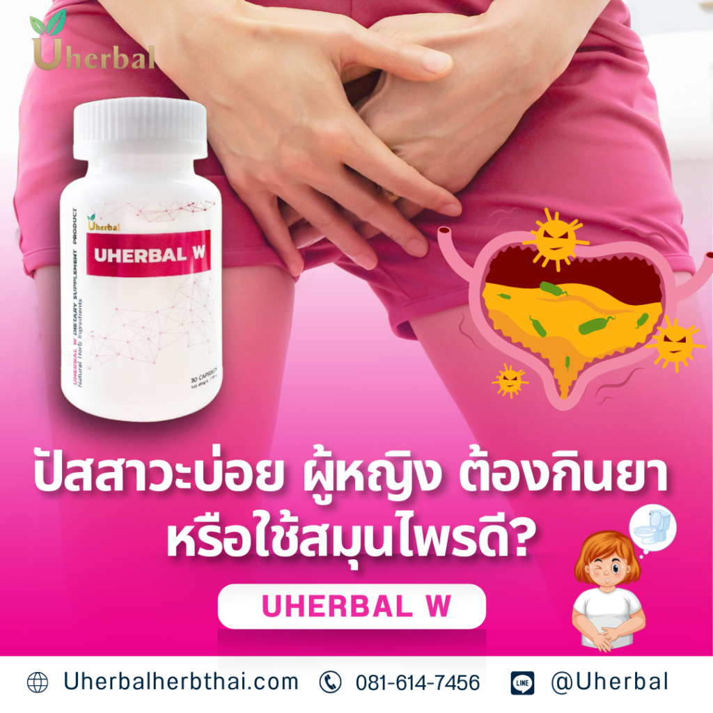 ปัสสาวะบ่อย ผู้หญิง ต้องกินยาหรือใช้สมุนไพรดี?
