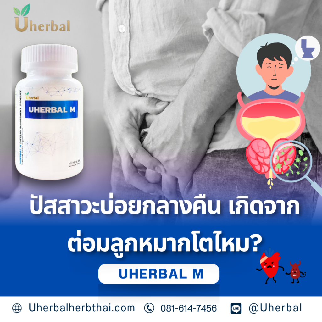 ปัสสาวะบ่อยกลางคืน เกิดจากต่อมลูกหมากโตไหม?