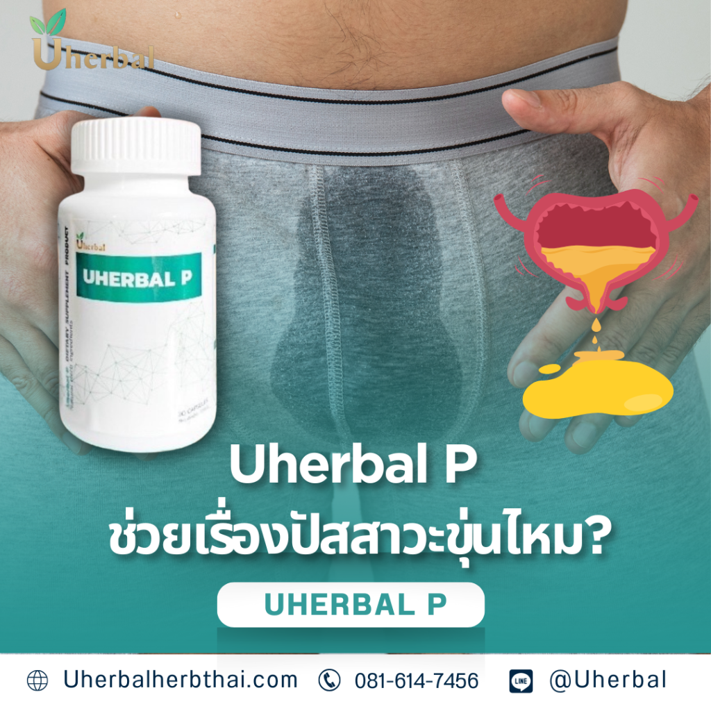 Uherbal P ช่วยเรื่องปัสสาวะขุ่นไหม?