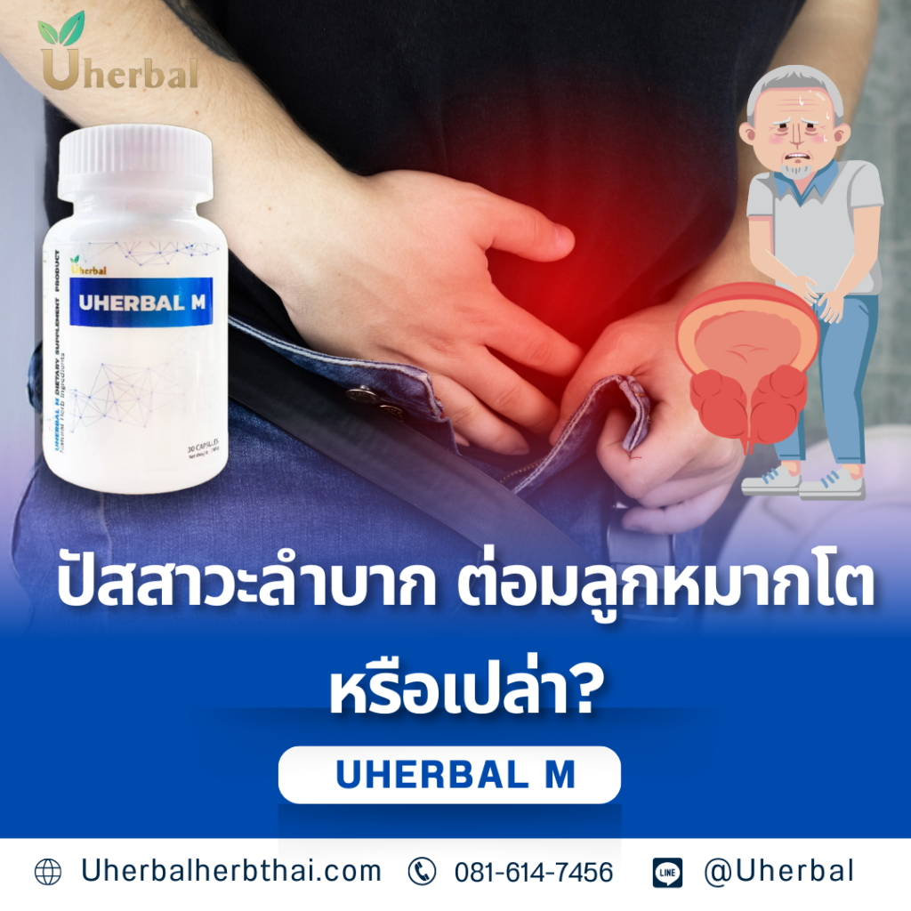 ปัสสาวะลำบาก ต่อมลูกหมากโตหรือเปล่า?