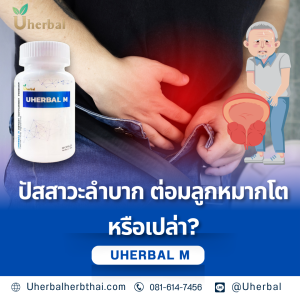 ปัสสาวะลำบาก ต่อมลูกหมากโตหรือเปล่า?