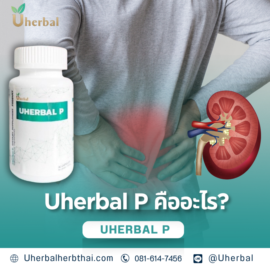 Uherbal P คืออะไร?