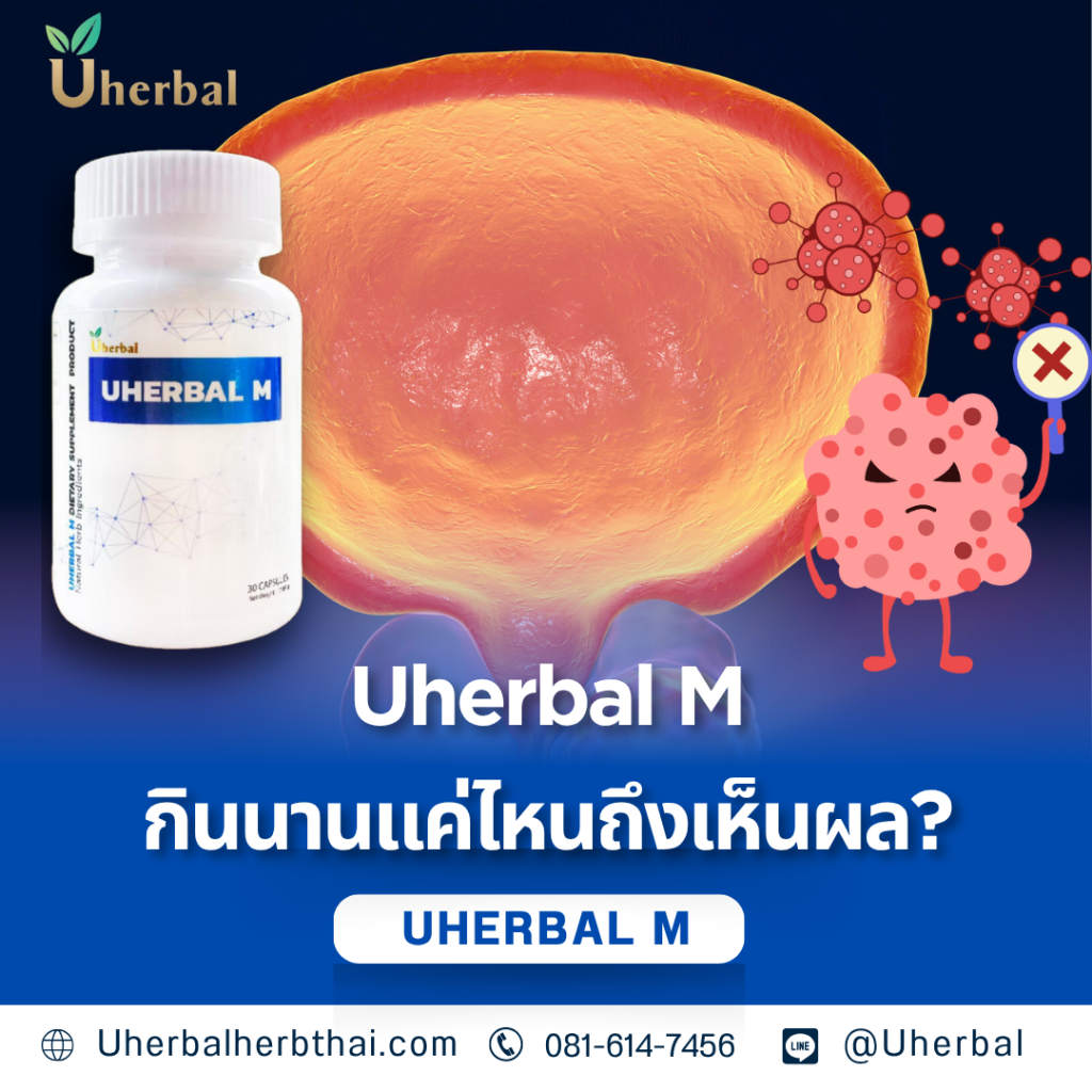 Uherbal M กินนานแค่ไหนถึงเห็นผล?